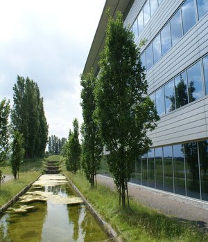 Lumier_sidebanner_ws01.jpg