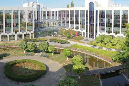 Airport Gardens