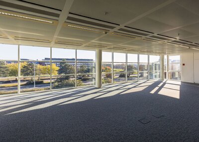 TheHUB_bannerunder_ws03.jpg