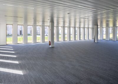 PAX_bannerunder_ws07.jpg