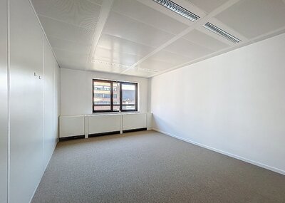 treves_bannerunder_ws06.jpg