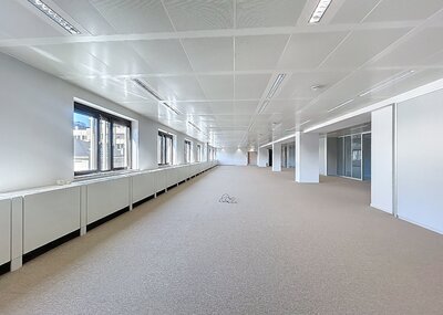 treves_bannerunder_ws04.jpg