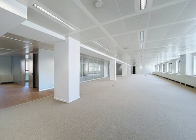 treves_bannerunder_ws13.jpg