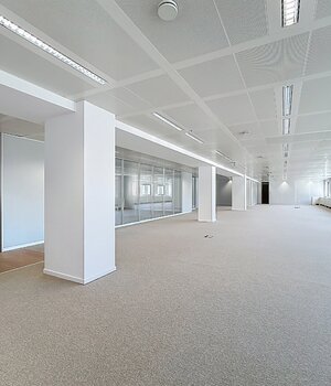 treves_sidebanner_ws01.jpg